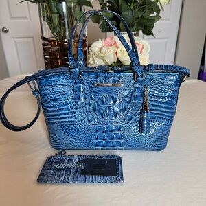 Brahmin Mini Asher Melbourne Collection